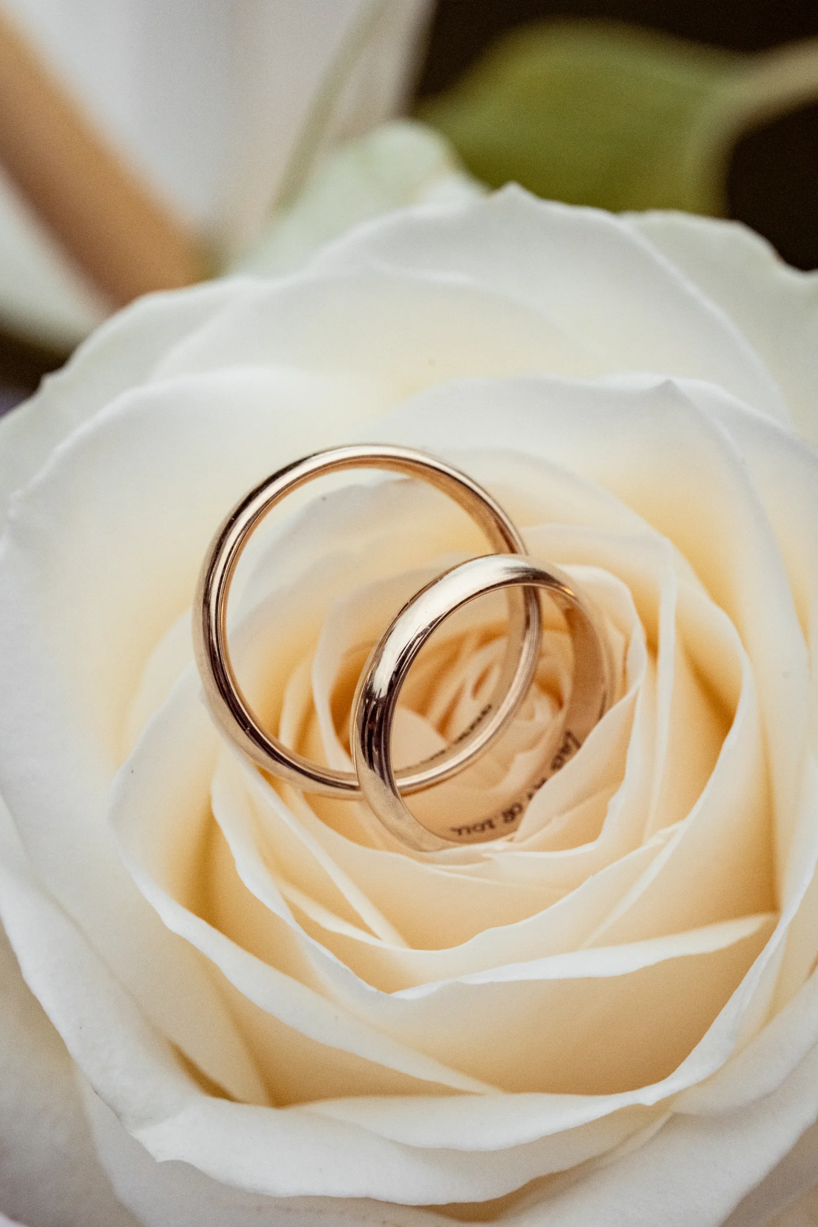Detailshot der Eheringe in einer Rose